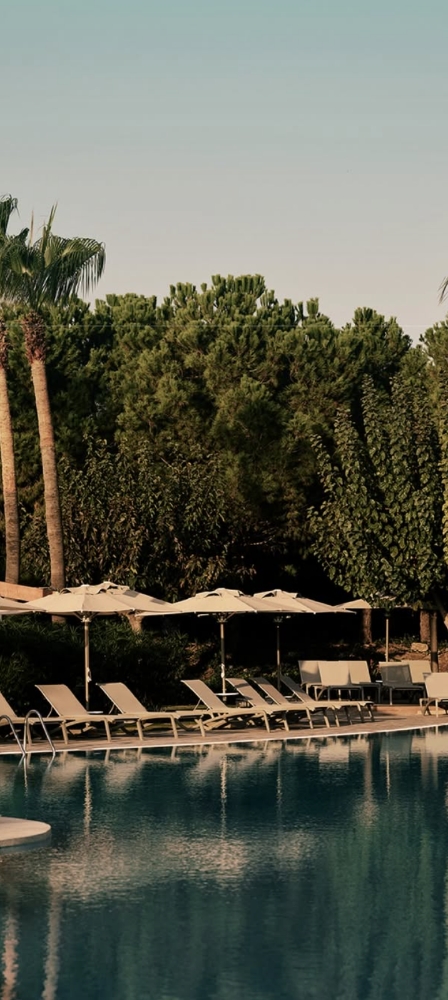 Barut Journey
